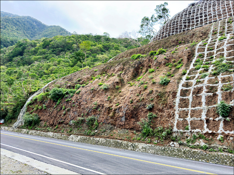 阻外來種入侵 原生種子球太魯閣發芽 - 生活 - 自由時報電子報