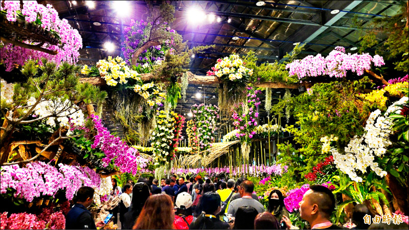 喝咖啡、泡溫泉 山區小旅行選擇多 - 生活 - 自由時報電子報