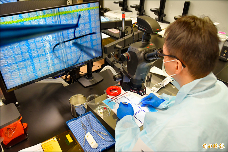 全球首創!實驗動物顯微手術教育基地 直播分享技巧 - 生活 - 自由時報電子報