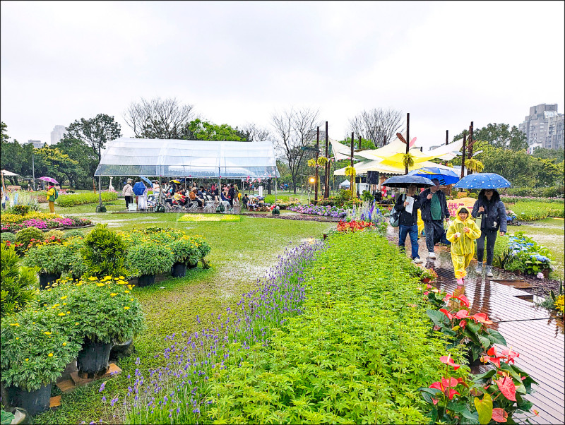 台北花伴野餐15日在大安森林公園舉行，因遇雨野餐活動根本無法野餐。（記者林承鴻攝）