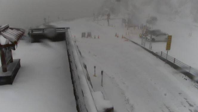 武嶺也是雪白一片。(圖擷取自交通部公路總局即時影像) 武嶺也是雪白一片。(圖擷取自交通部公路總局即時影像)
