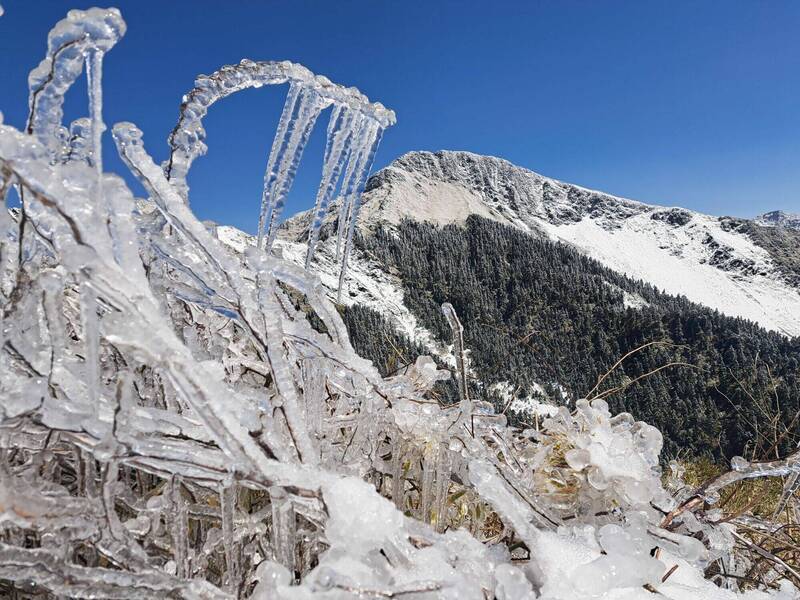 南投合歡山公路大雪過後,路邊可見千變萬化的冰柱,景象相當美麗。(民眾呂秋明提供) 南投合歡山公路大雪過後,路邊可見千變萬化的冰柱,景象相當美麗。(民眾呂秋明提供)
