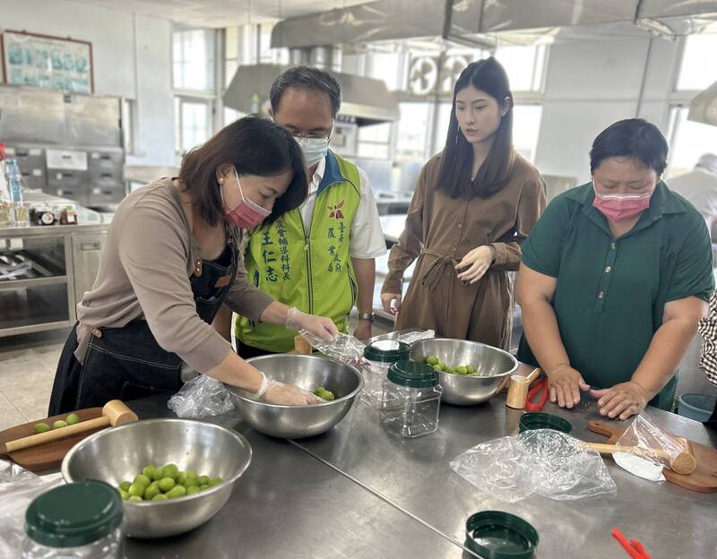進入採梅季,市府農業局與梅嶺休閒農業區合辦脆梅手作體驗。(梅嶺休閒農業區提供) 進入採梅季,市府農業局與梅嶺休閒農業區合辦脆梅手作體驗。(梅嶺休閒農業區提供)