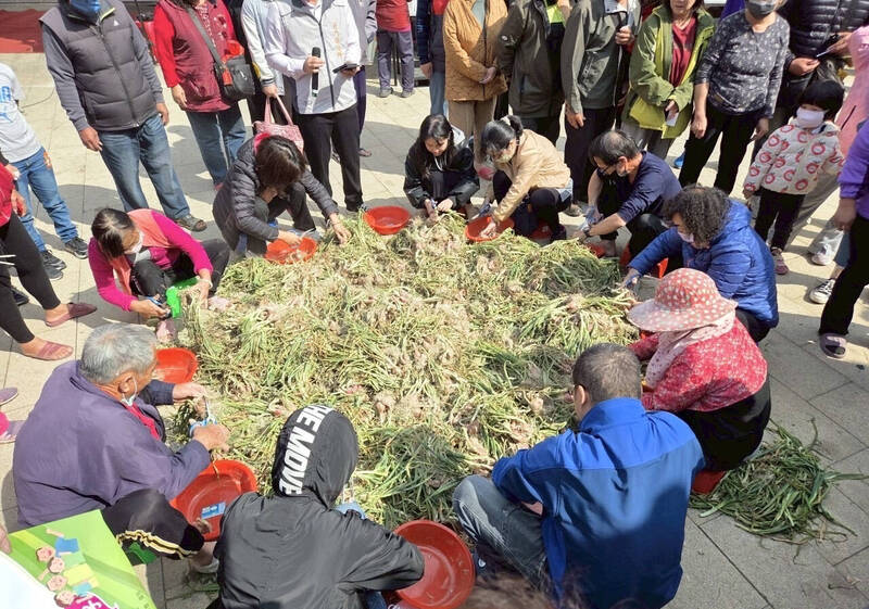 北門首次舉辦的剪紅蔥頭比賽，炒熱紅蔥頭節氣氛。（北門公所提供）