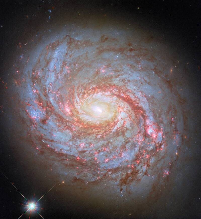 過去一度被誤認為是鄰近星雲的「魷魚星系」(Squid Galaxy),如今透過哈伯太空望遠鏡更強化的影像技術再次捕捉,揭示其為一個帶有發光絲狀結構、絢爛壯觀的螺旋星系。(圖:ESA/Hubble & NASA) 過去一度被誤認為是鄰近星雲的「魷魚星系」(Squid Galaxy),如今透過哈伯太空望遠鏡更強化的影像技術再次捕捉,揭示其為一個帶有發光絲狀結構、絢爛壯觀的螺旋星系。(圖:ESA/Hubble & NASA)