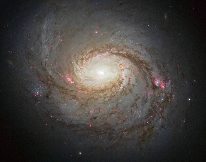 哈伯太空望遠鏡捕捉的螺旋星系梅西耶77(Messier 77)生動影像。此星系位於天鯨座(Cetus),距地球約4500萬光年。旋臂上的紅藍色調標示出恆星形成區,黝黑的塵埃帶則橫亙其星系中心。(圖:ESA/Hubble & NASA) 哈伯太空望遠鏡捕捉的螺旋星系梅西耶77(Messier 77)生動影像。此星系位於天鯨座(Cetus),距地球約4500萬光年。旋臂上的紅藍色調標示出恆星形成區,黝黑的塵埃帶則橫亙其星系中心。(圖:ESA/Hubble & NASA)