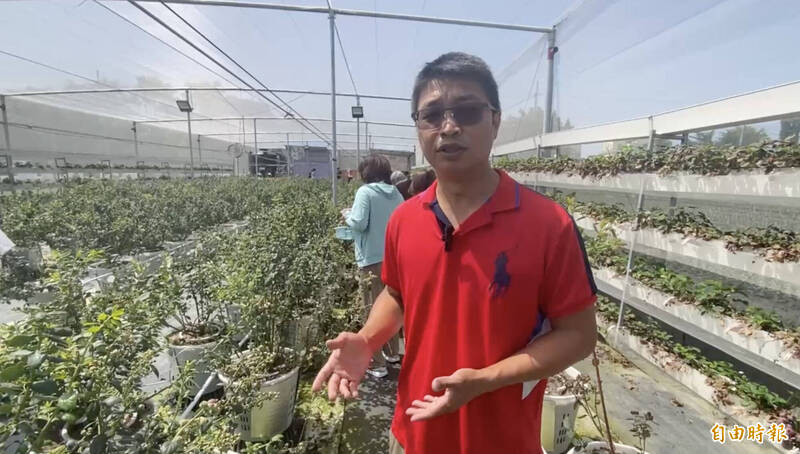 青農江佳駿表示,希望透過特色水果填補田尾觀光空窗期,帶動人潮。(記者陳冠備攝) 青農江佳駿表示,希望透過特色水果填補田尾觀光空窗期,帶動人潮。(記者陳冠備攝)