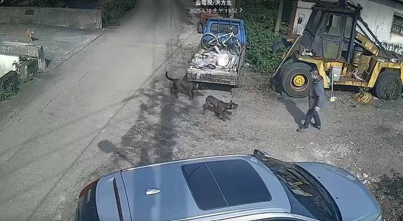 宜蘭蘇澳陳姓民眾只要一出門就會被鄰居家養的犬隻追趕威嚇。(民眾提供) 宜蘭蘇澳陳姓民眾只要一出門就會被鄰居家養的犬隻追趕威嚇。(民眾提供)