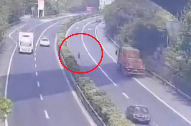 大車輪胎在高速公路上滾動。(圖擷自微博) 大車輪胎在高速公路上滾動。(圖擷自微博)