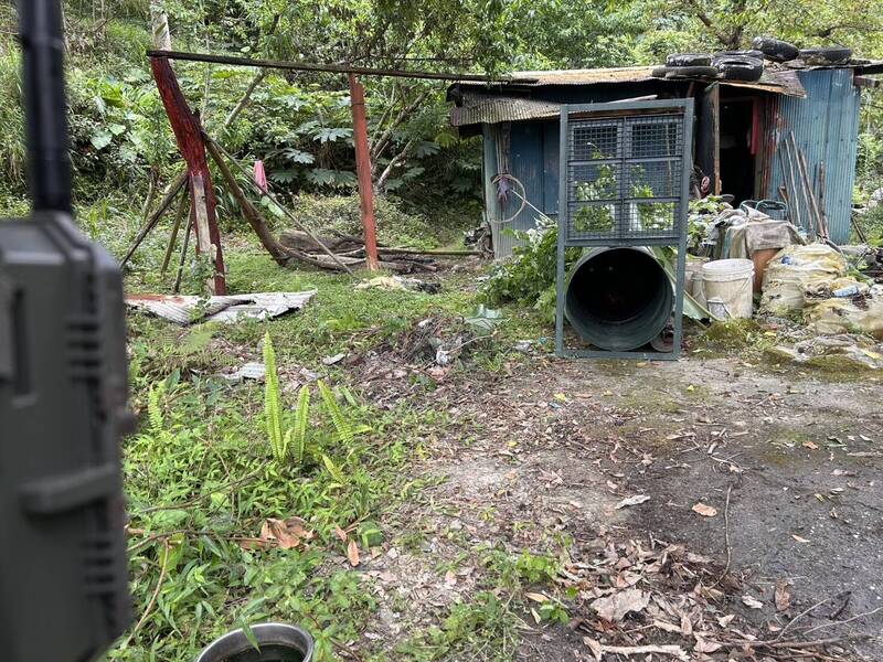 林保署啟動捕熊作業,在沈姓住戶工寮旁放置鐵桶陷阱。(林保署花蓮分署提供) 林保署啟動捕熊作業,在沈姓住戶工寮旁放置鐵桶陷阱。(林保署花蓮分署提供)