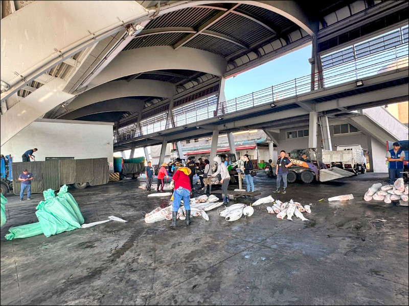 檢察官偕同專案小組搜索被檢舉的漁船，清查魚獲。（屏東地檢署提供）