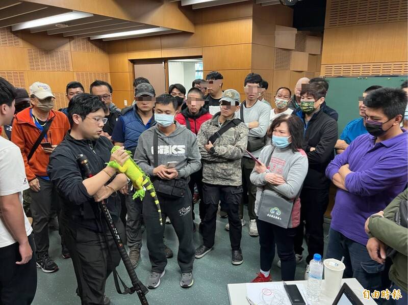 屏東縣政府去年底起,陸續針對綠鬣蜥移除開辦6場次教育訓練,累計共706人完成訓練。(資料照,記者羅欣貞攝) 屏東縣政府去年底起,陸續針對綠鬣蜥移除開辦6場次教育訓練,累計共706人完成訓練。(資料照,記者羅欣貞攝)
