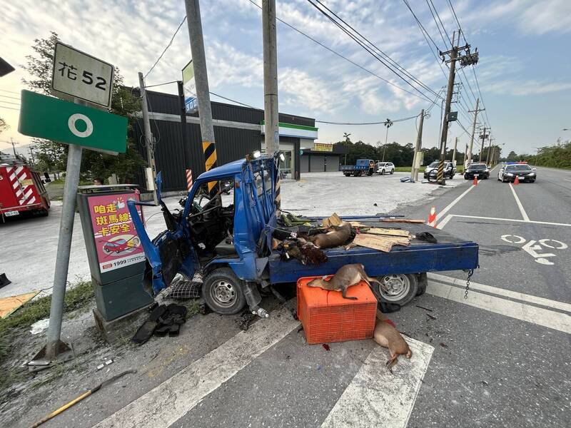 台9線238K光復鄉大全路段發生重大車禍，車上受傷4人都被送往醫院急救，留下被打到的山羌、飛鼠獵物們。（民眾提供）