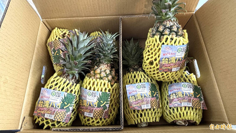 台灣鳳梨供應日本茨城縣學童營養午餐 後續接洽6縣