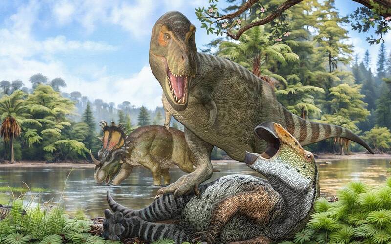 白堊紀末期，北半球的動物群主要以暴龍科（如雷克斯暴龍）、鴨嘴龍科及角龍類鳥臀目恐龍為主。（圖取自@SergeyAtrox1 / X）