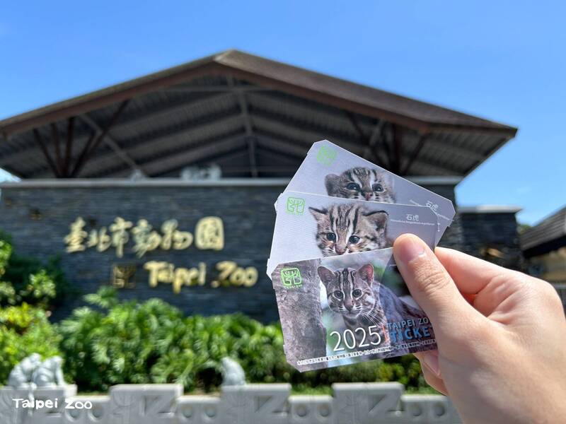 台北動物園即日起推出超可愛石虎門票,歡迎民眾來蒐藏。(台北動物園提供) 台北動物園即日起推出超可愛石虎門票,歡迎民眾來蒐藏。(台北動物園提供)