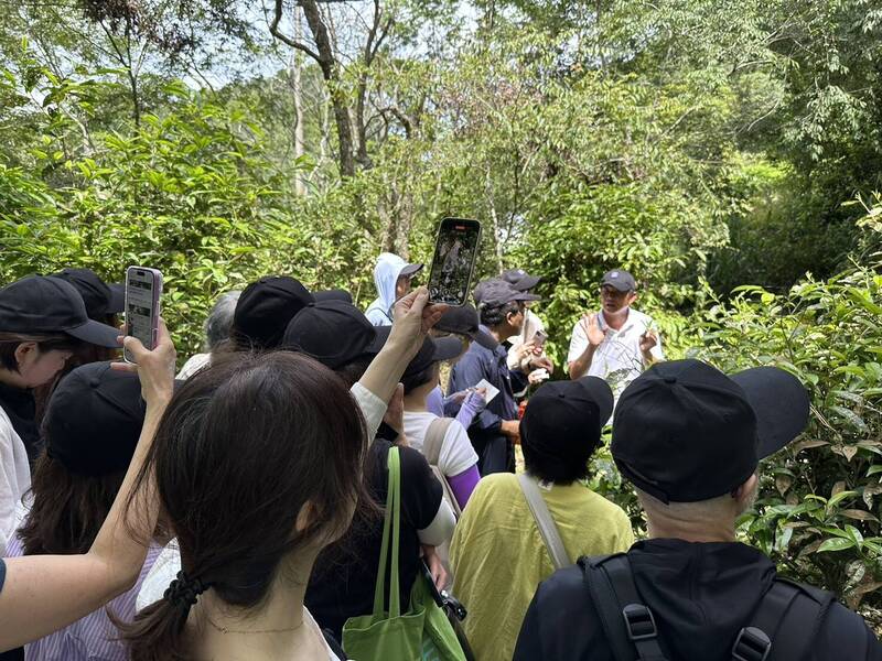 日本人池谷直人創辦的「香港茶倶樂部」一行22位茶人專程取經,認識六龜精湛的製茶技術及品牌形塑經驗。(茂管處提供) 日本人池谷直人創辦的「香港茶倶樂部」一行22位茶人專程取經,認識六龜精湛的製茶技術及品牌形塑經驗。(茂管處提供)