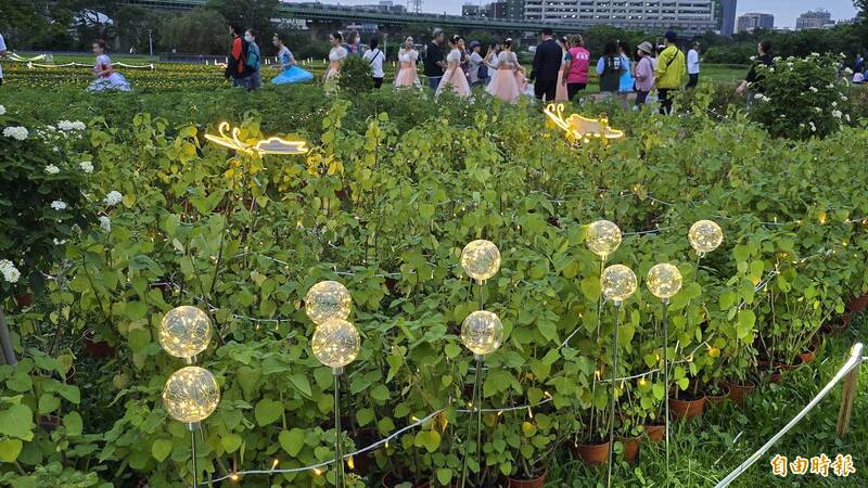 「新北河濱蝶戀季」使用約8萬株植物與藝術裝置打造美景。(記者黃子暘攝) 「新北河濱蝶戀季」使用約8萬株植物與藝術裝置打造美景。(記者黃子暘攝)