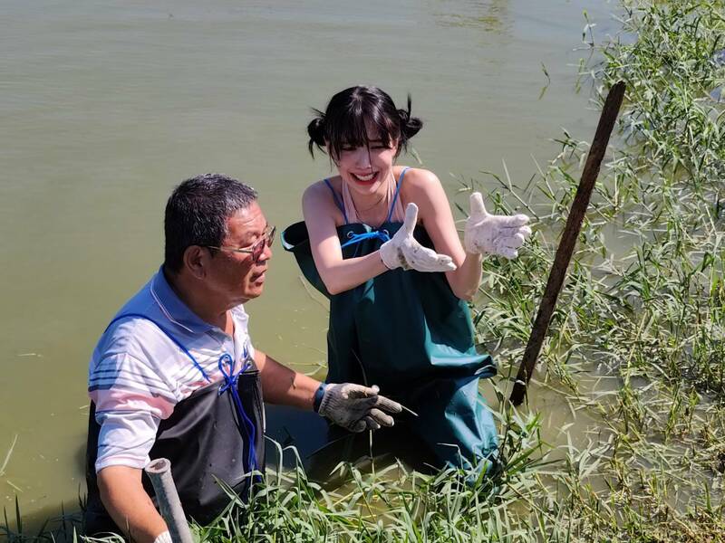 尹到怡在「亮哥生態養殖場」體驗捉台灣鯛。(台南市府提供) 尹到怡在「亮哥生態養殖場」體驗捉台灣鯛。(台南市府提供)