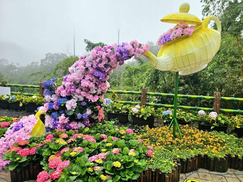 桃園市復興區枕頭山商圈,由繡球花妝點而成的「花湯滿溢」裝置藝術正式亮相。(桃園市農業局提供) 桃園市復興區枕頭山商圈,由繡球花妝點而成的「花湯滿溢」裝置藝術正式亮相。(桃園市農業局提供)