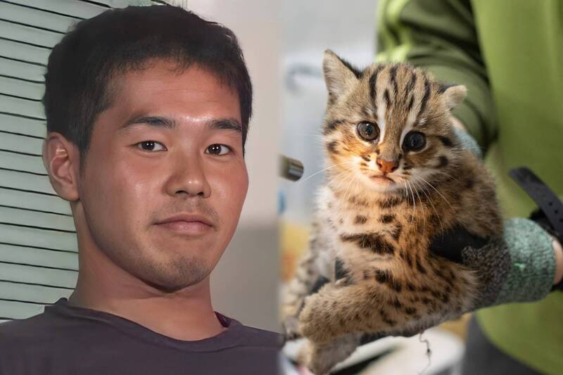 台北市立動物園日前為2隻石虎寶寶舉辦命名活動(右),有台灣網友以日本網路迷因「野獸前輩」(左)的諧音來提名,結果獲得超高人氣支持,甚至因此還紅到日本。(圖擷取自社群平台「X」、台北動物園提供,本報合成)
台北市立動物園日前為2隻石虎寶寶舉辦命名活動(右),有台灣網友以日本網路迷因「野獸前輩」(左)的諧音來提名,結果獲得超高人氣支持,甚至因此還紅到日本。(圖擷取自社群平台「X」、台北動物園提供,本報合成)