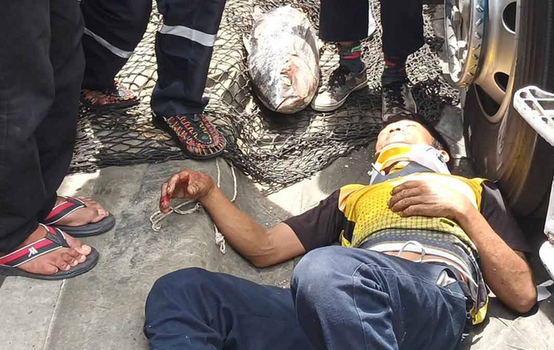 泰國北欖府(Samut Prakan)一名司機駕駛貨車前往碼頭接貨,當他抵達現場後下車伸懶腰,突然天降一條達40公斤的急凍鮪魚,把他當場KO倒地、頭破血流。(圖擷取自社群平台「X」) 泰國北欖府(Samut Prakan)一名司機駕駛貨車前往碼頭接貨,當他抵達現場後下車伸懶腰,突然天降一條達40公斤的急凍鮪魚,把他當場KO倒地、頭破血流。(圖擷取自社群平台「X」)