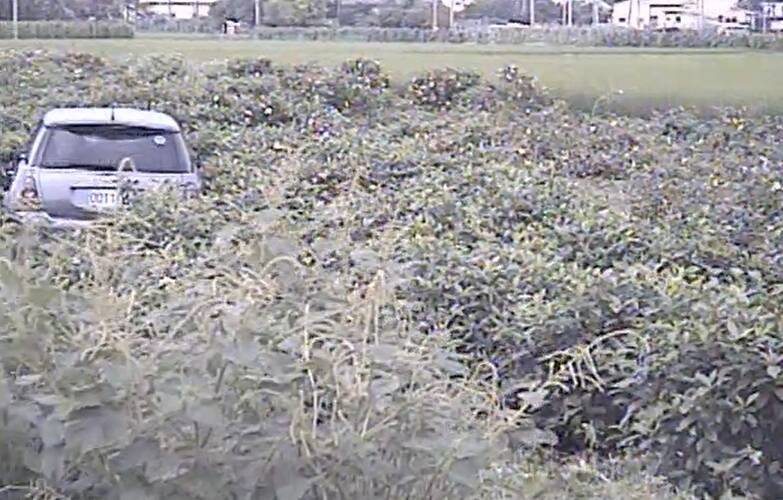 自小客車與機車對撞後，衝入田裡，機車騎士傷重不治。（民眾提供）
