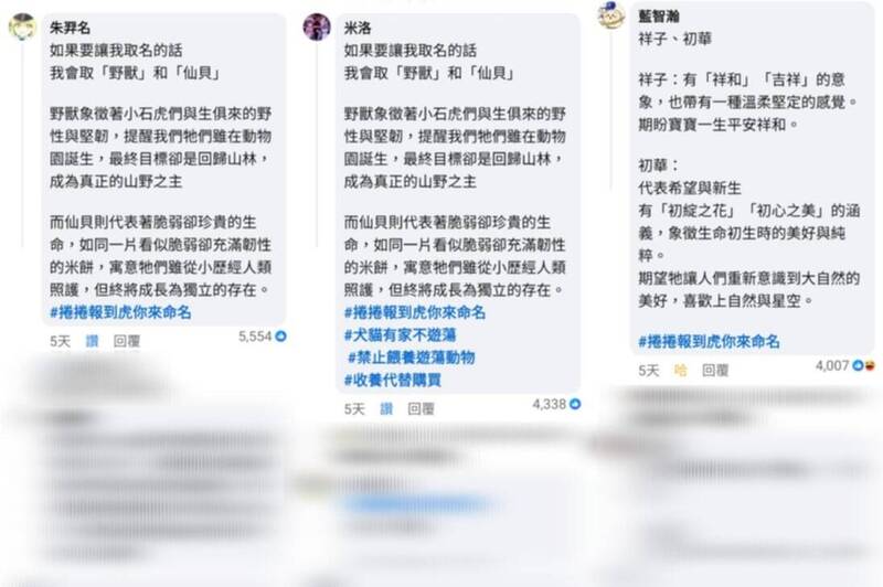 5月7日至10日活動期間,按讚數前3高的名字分別是「野獸&仙貝」、「野獸&仙貝」與「祥子&初華」。(圖擷取自「Taipei Zoo 臺北市立動物園」臉書粉專,本報合成) 5月7日至10日活動期間,按讚數前3高的名字分別是「野獸&仙貝」、「野獸&仙貝」與「祥子&初華」。(圖擷取自「Taipei Zoo 臺北市立動物園」臉書粉專,本報合成)