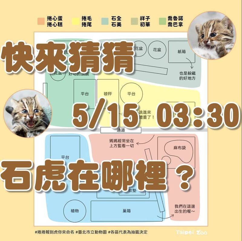 不少網友注意到,園方宣布最終命名方式,並未宣布開放公開直播、贊助商提名的劃分位置比較大,質疑有暗中內定可。(圖擷取自「Taipei Zoo 臺北市立動物園」臉書粉專,本報合成) 不少網友注意到,園方宣布最終命名方式,並未宣布開放公開直播、贊助商提名的劃分位置比較大,質疑有暗中內定可。(圖擷取自「Taipei Zoo 臺北市立動物園」臉書粉專,本報合成)