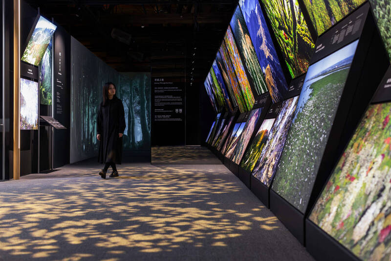 「齊柏林共森特展」將透過270度環繞投影、香氛、互動心理測驗等方式，引導學員從感官體驗中認識台灣林業轉型與當代森林議題，強化環境教育與人文連結。（圖由新北環保局提供）