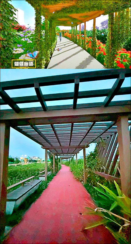 嘉市議員批,湖子內公園蝴蝶廊道區設計圖(上)與現場實際情形(下)有落差。(王浩提供) 嘉市議員批,湖子內公園蝴蝶廊道區設計圖(上)與現場實際情形(下)有落差。(王浩提供)