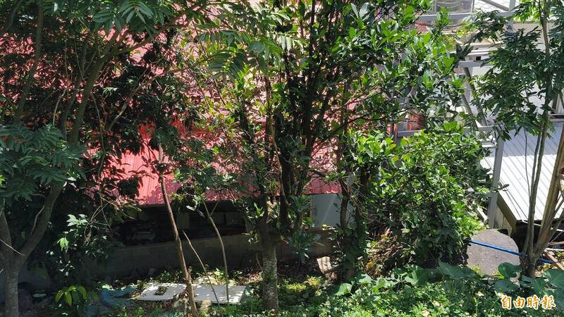 花蓮縣區29歲女老師被勒斃,陳屍在租屋處。(記者王錦義攝) 花蓮縣區29歲女老師被勒斃,陳屍在租屋處。(記者王錦義攝)