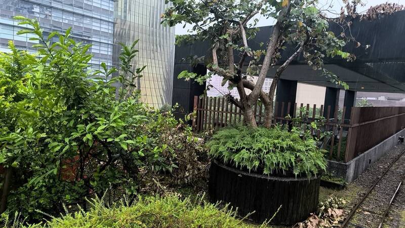 新光A8館4樓戶外區發生工人意外。(記者姚岳宏翻攝) 新光A8館4樓戶外區發生工人意外。(記者姚岳宏翻攝)