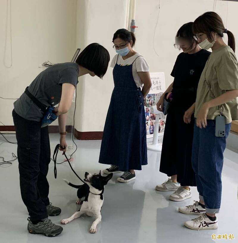 高雄開訓百隻浪犬全面認養成功 提高整體認養率達7成7