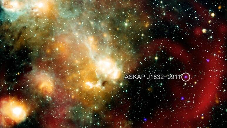 圖為新發現的長週期暫現源ASKAP J1832-0911,這張廣域合成影像結合了X射線(圖中紫色標示天體)、無線電波及紅外線數據,呈現其在銀河系中的相對位置。(美聯社) 圖為新發現的長週期暫現源ASKAP J1832-0911,這張廣域合成影像結合了X射線(圖中紫色標示天體)、無線電波及紅外線數據,呈現其在銀河系中的相對位置。(美聯社)