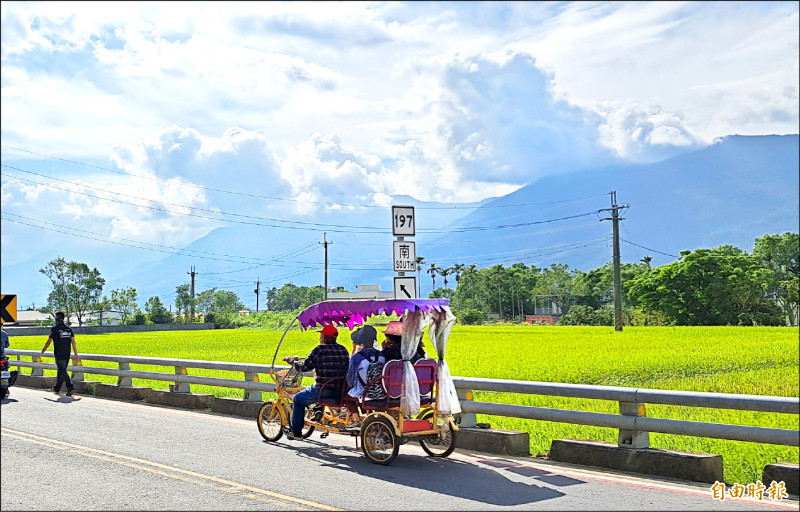 自由日日Shoot》伯朗大道屢傳慢車犁田 台東縣月底納管