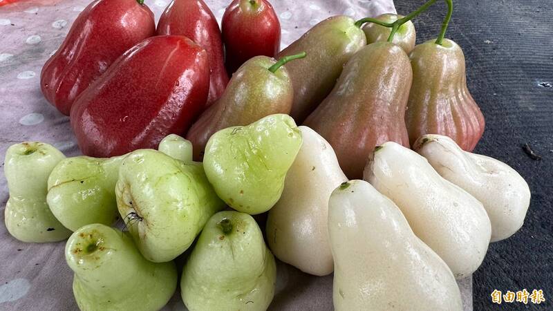 去年実たくさんなりました！超特大 台湾白玉レンブ 白玉蓮霧 去年実