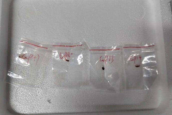 2中國人涉運「潛在農業恐怖主義武器」 2022年就討論走私入美