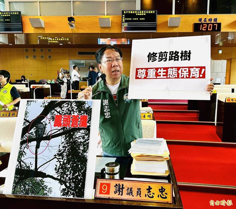 市議員謝志忠要求修剪路樹要尊重生態保育(記者蘇金鳳攝) 市議員謝志忠要求修剪路樹要尊重生態保育(記者蘇金鳳攝)