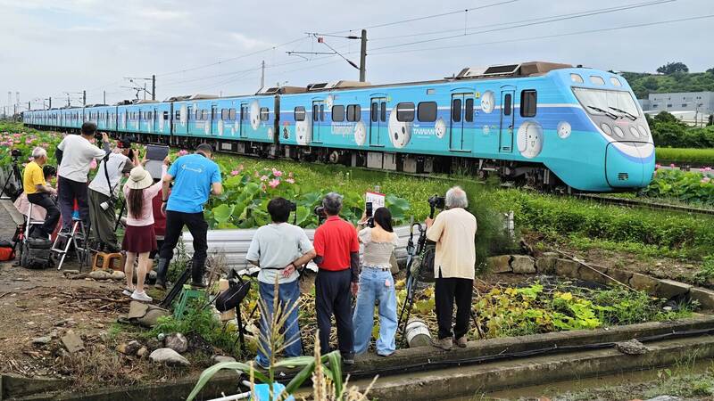 通霄荷花「相遇」火車，美景引人潮。（張麥斯提供）