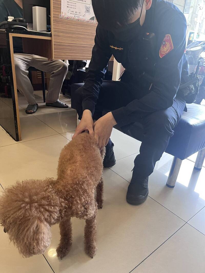 警方透過寵物狗身上的晶片找到家長聯絡方式。(記者吳昇儒翻攝) 警方透過寵物狗身上的晶片找到家長聯絡方式。(記者吳昇儒翻攝)
