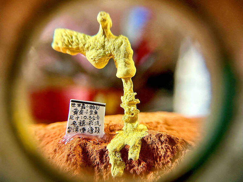 A tiny goldfish swimming in a stream from a faucet, sculpted from gold by Chen Forng-shean, is pictured under a microscope in an undated photograph.
Photo courtesy of Chen Forng-shean A tiny goldfish swimming in a stream from a faucet, sculpted from gold by Chen Forng-shean, is pictured under a microscope in an undated photograph.
Photo courtesy of Chen Forng-shean