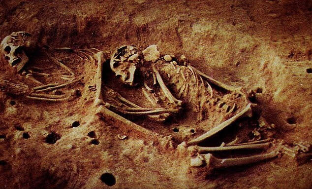 Checua遺址出土的6000年前獵人採集者骸骨,揭示已滅絕的人類血統。(圖:Universidad Nacional de Colombia) Checua遺址出土的6000年前獵人採集者骸骨,揭示已滅絕的人類血統。(圖:Universidad Nacional de Colombia)