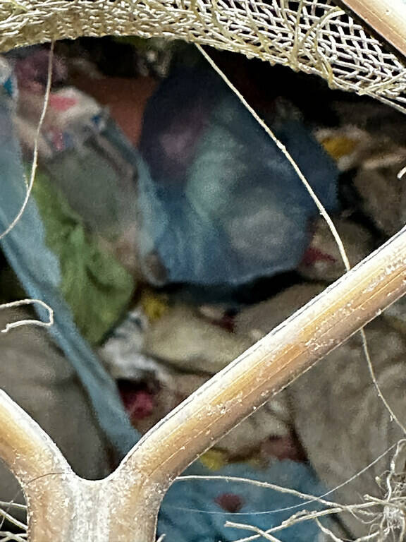 林姓婦人帶著女兒撿回收物囤積在自家透天厝,千萬房產淪為「垃圾屋」。(民眾提供) 林姓婦人帶著女兒撿回收物囤積在自家透天厝,千萬房產淪為「垃圾屋」。(民眾提供)