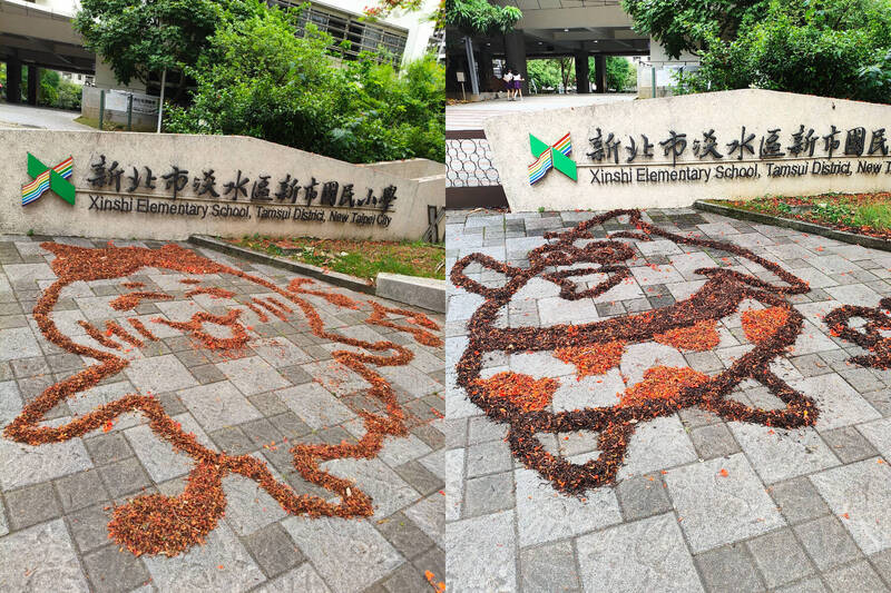 警衛先生以掃帚和落葉花朵畫出吉伊卡哇與派大星等圖案。(本報合成,擷取自滬尾小鎮/FB) 警衛先生以掃帚和落葉花朵畫出吉伊卡哇與派大星等圖案。(本報合成,擷取自滬尾小鎮/FB)