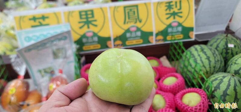 冰淇淋果的外觀比棗子大。（記者葉永騫攝）