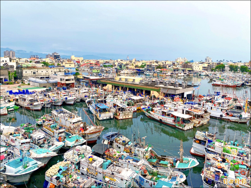 東港湧入大量返回母港的漁船。（記者陳彥廷攝）