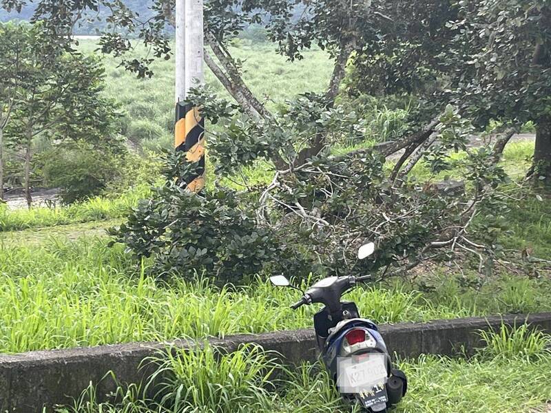 老翁死亡处有工人修剪树木。(民众提供) 老翁死亡处有工人修剪树木。(民众提供)