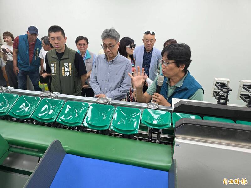 文旦送進加工廠後須進行果實大小分級,瑞穗鄉農會總幹事黃盛皇(右一)向農業部長陳駿季(右二)進行說明。(記者花孟璟攝) 文旦送進加工廠後須進行果實大小分級,瑞穗鄉農會總幹事黃盛皇(右一)向農業部長陳駿季(右二)進行說明。(記者花孟璟攝)