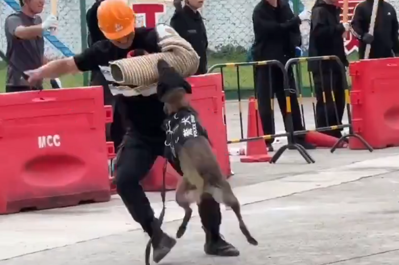 йӰƬǽ飬ԭⳡġСũ񹤡 ͼߢȡʦʦXƽ̨